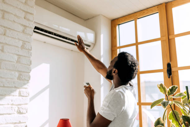 Best HVAC air duct cleaning  in Lo, HI